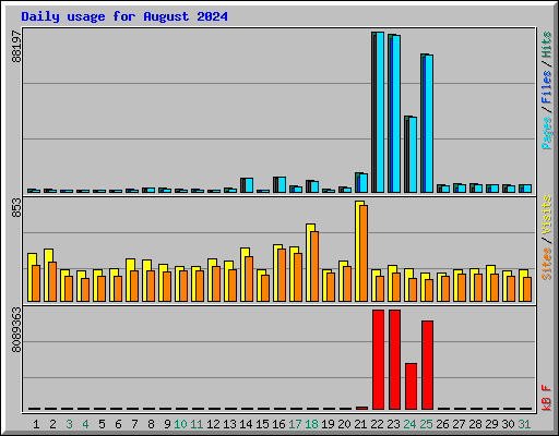 Daily usage for August 2024