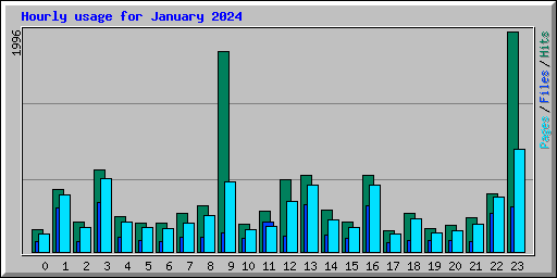 Hourly usage for January 2024