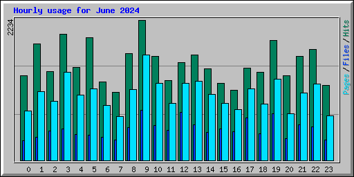 Hourly usage for June 2024