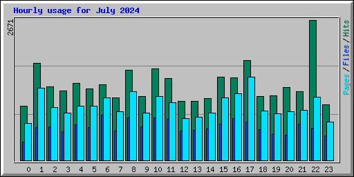 Hourly usage for July 2024