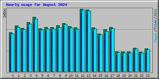 Hourly usage for August 2024