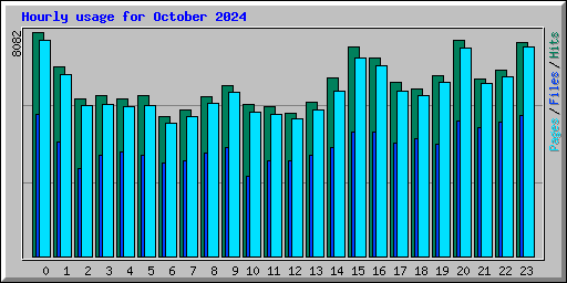 Hourly usage for October 2024