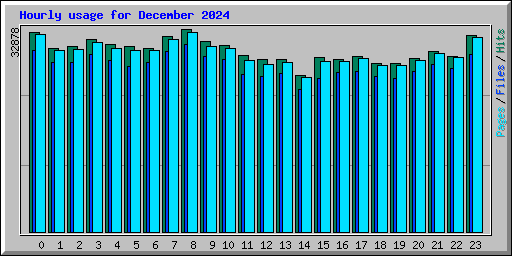 Hourly usage for December 2024