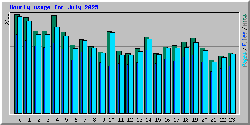 Hourly usage for July 2025