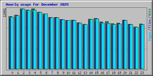 Hourly usage for December 2025