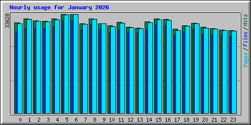 Hourly usage for January 2026