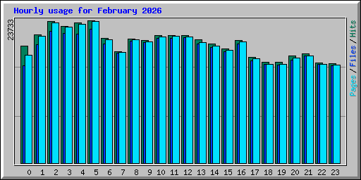 Hourly usage for February 2026